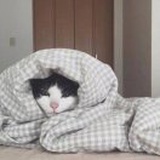 尘