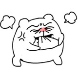 cookie