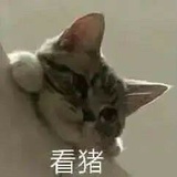 无所畏惧
