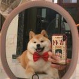 少吃点糖吖