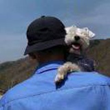 孤山