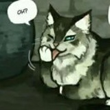 闵皿