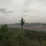 清风徐来