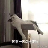 迪士尼在逃公主