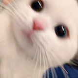 季肖冰（养生中