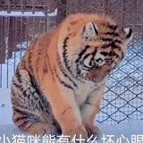 瓜好吃