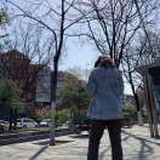 鲨鱼丸子