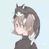 二十八楼有只猫