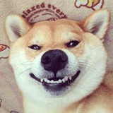 啊巴啊巴