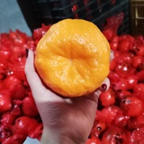 豆友231362835