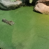 忽上忽下