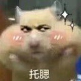 木辛梓
