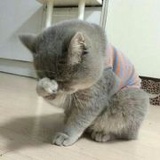 贰百古的鬼