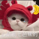 拍拍小肚子