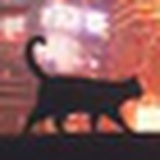 踩花小猫