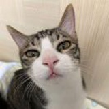 地心引力🐱mao