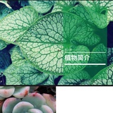 拥抱未来的我
