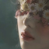 悦悦