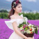 凤丽