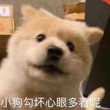 今晚吃的蛋黄酥
