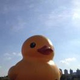 鹦鹉怪兽