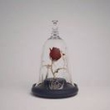 小力水手晶晶