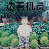 山药