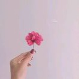 橙子