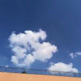 无解的沉默