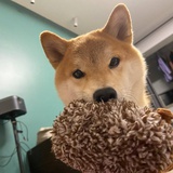 夏日冰