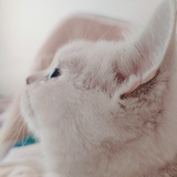 三月
