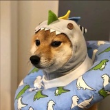 堆排序行呀