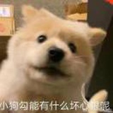 江.