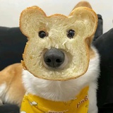 lmakko