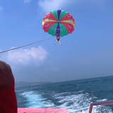 海绵宝宝