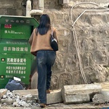 白羊儿.