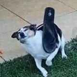 Chanchannoo