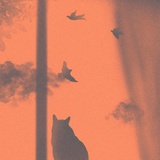 落日和猫