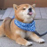 ～