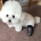 精神病医院院长