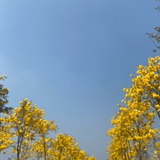 花开花落知多少