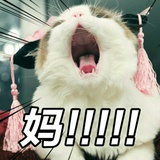 豆友232175217