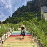 糖果