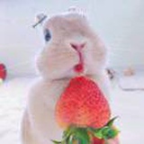 花児開*