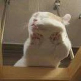 思念落满眉睫