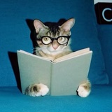 Ms. purr-fecat