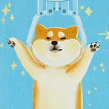 粥猫