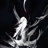 溯光