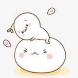 这是个菜鸟