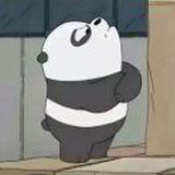 杨